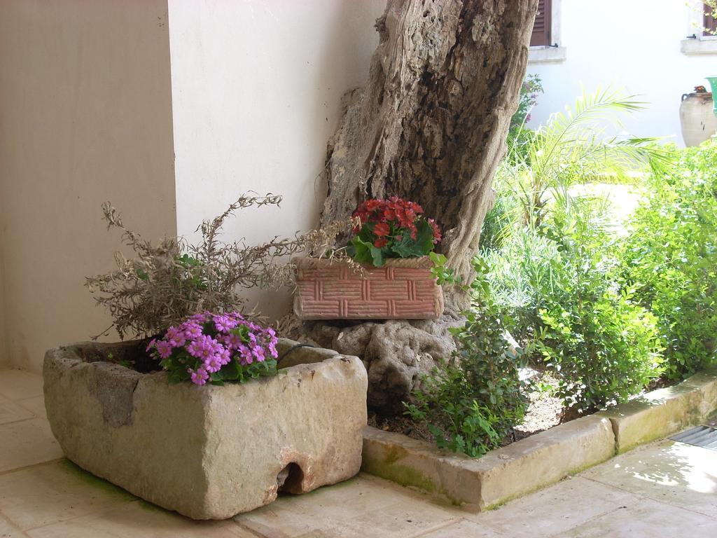 B&B Le Due Corti Martignano 外观 照片