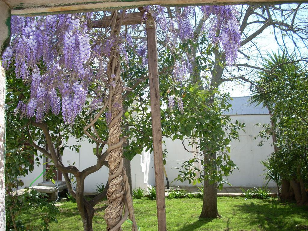 B&B Le Due Corti Martignano 外观 照片