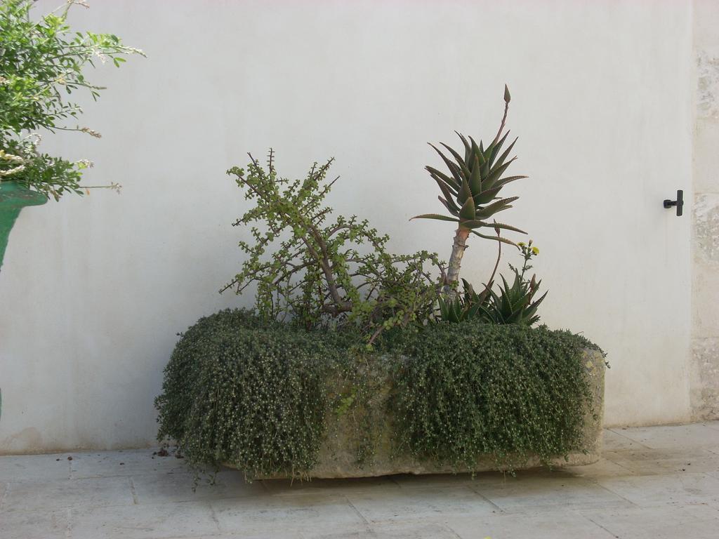 B&B Le Due Corti Martignano 外观 照片